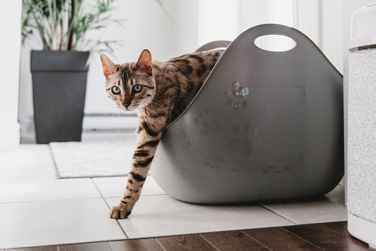 Gewinnspiele Litter Locker Box - Gewinnspiele