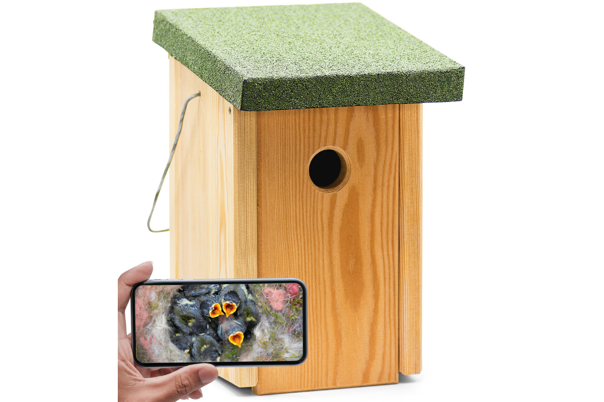Nistkasten mit integrierter Kamera zum VogelBeobachten herzfuer